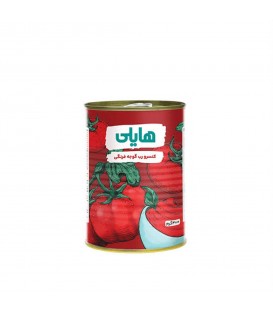 رب گوجه هایلی 400گ 24ع 83ف