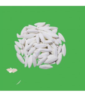 شكر پنير نعنايي5ك