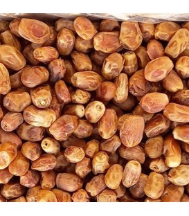 خرما زاهدي(مرجوعي نداريم)