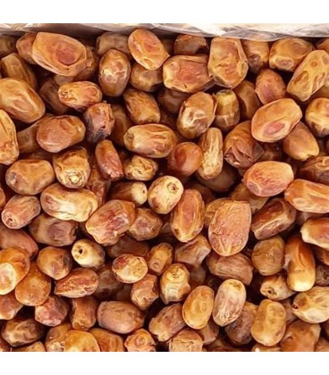 خرما زاهدي(مرجوعي نداريم)