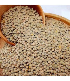 حبوبات عدس درشت(مرجوعي نداريم)
