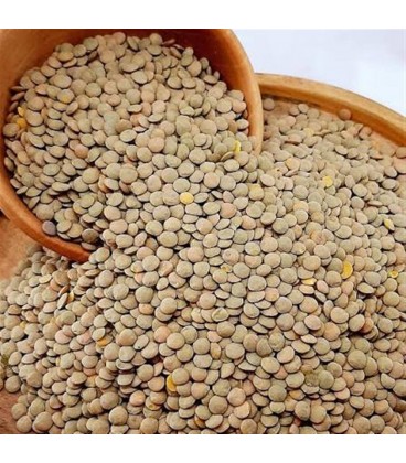 حبوبات عدس درشت(مرجوعي نداريم)