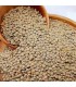حبوبات عدس درشت(مرجوعي نداريم)
